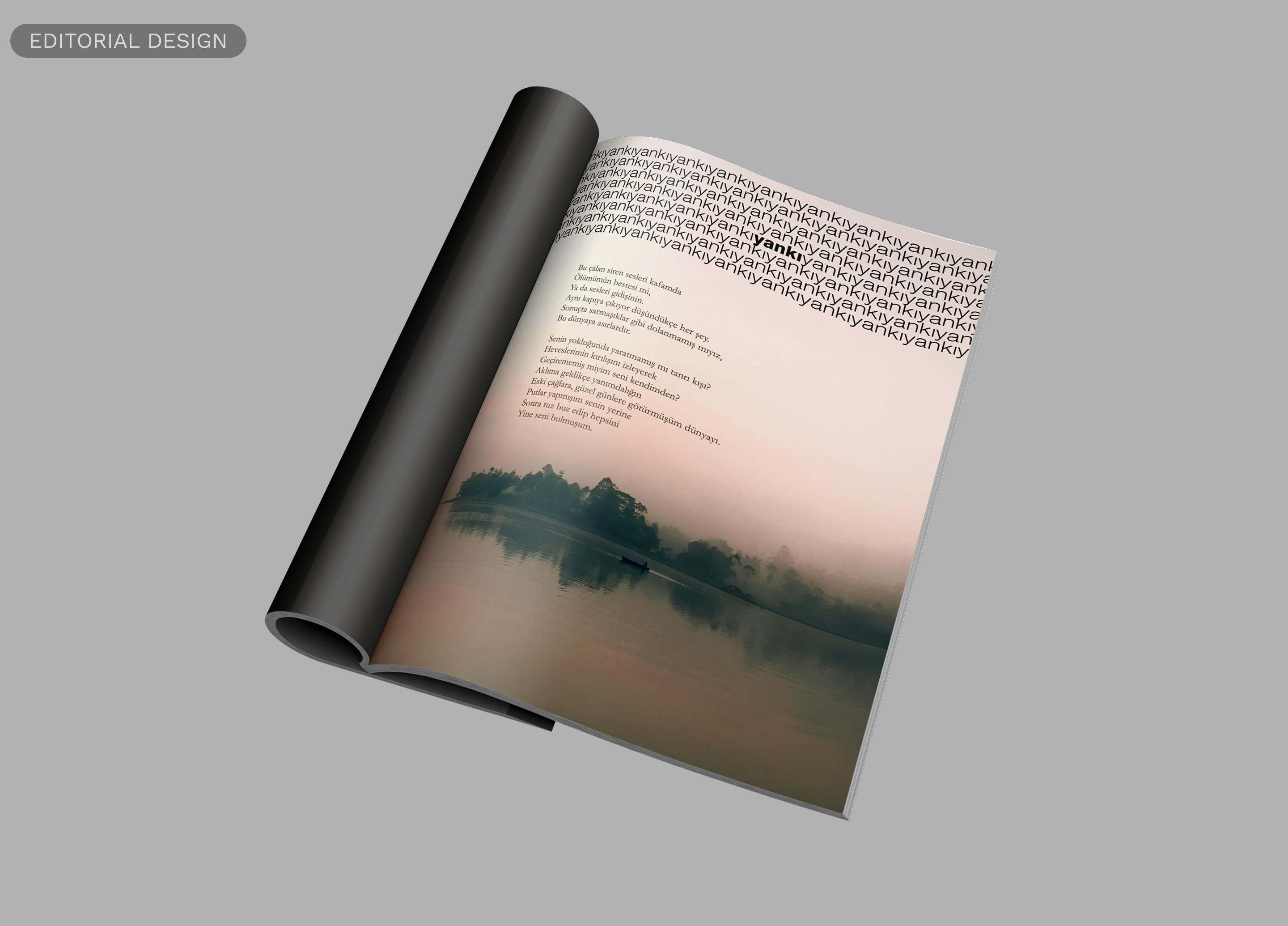 Editorial design