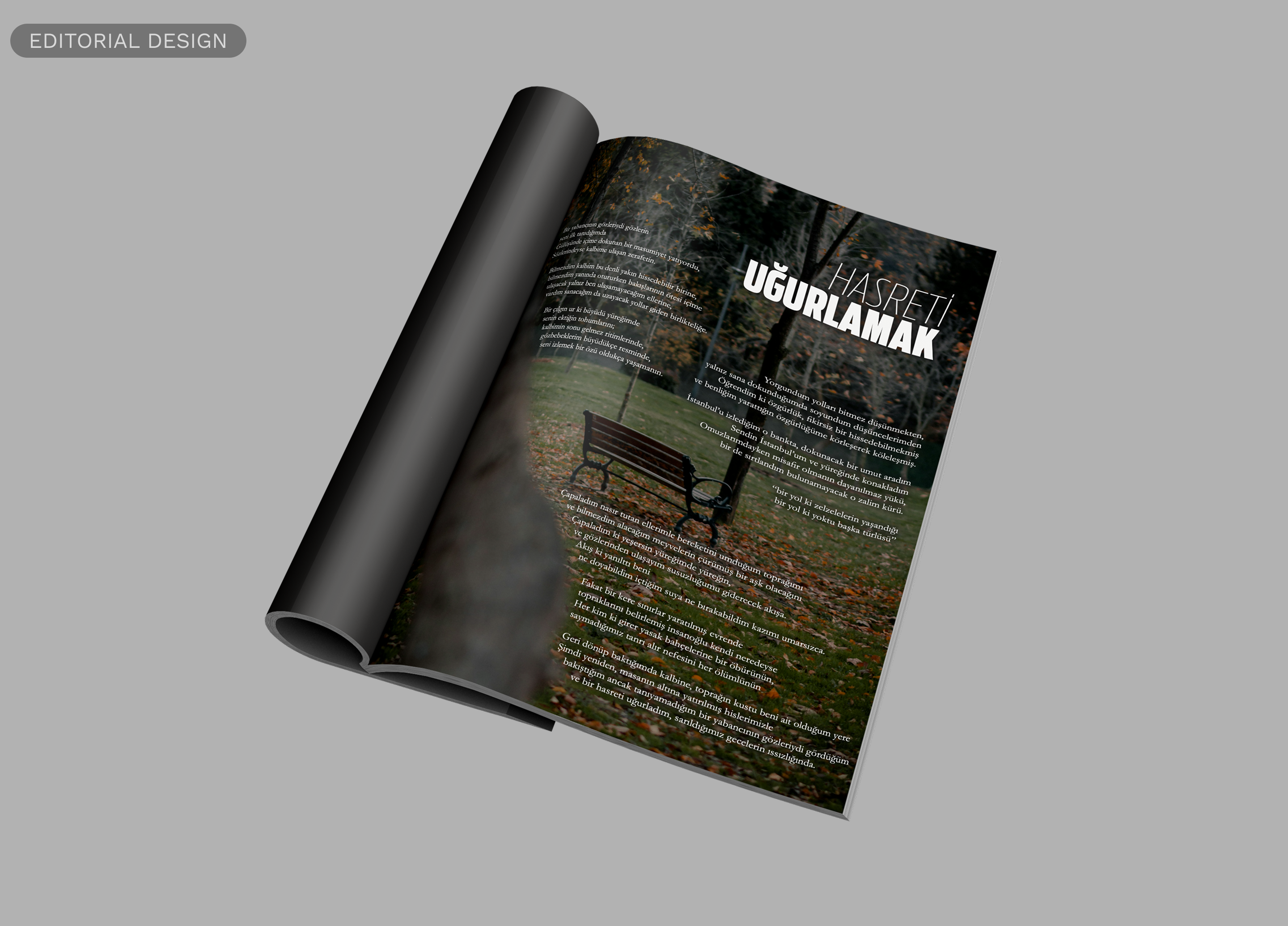 Editorial design