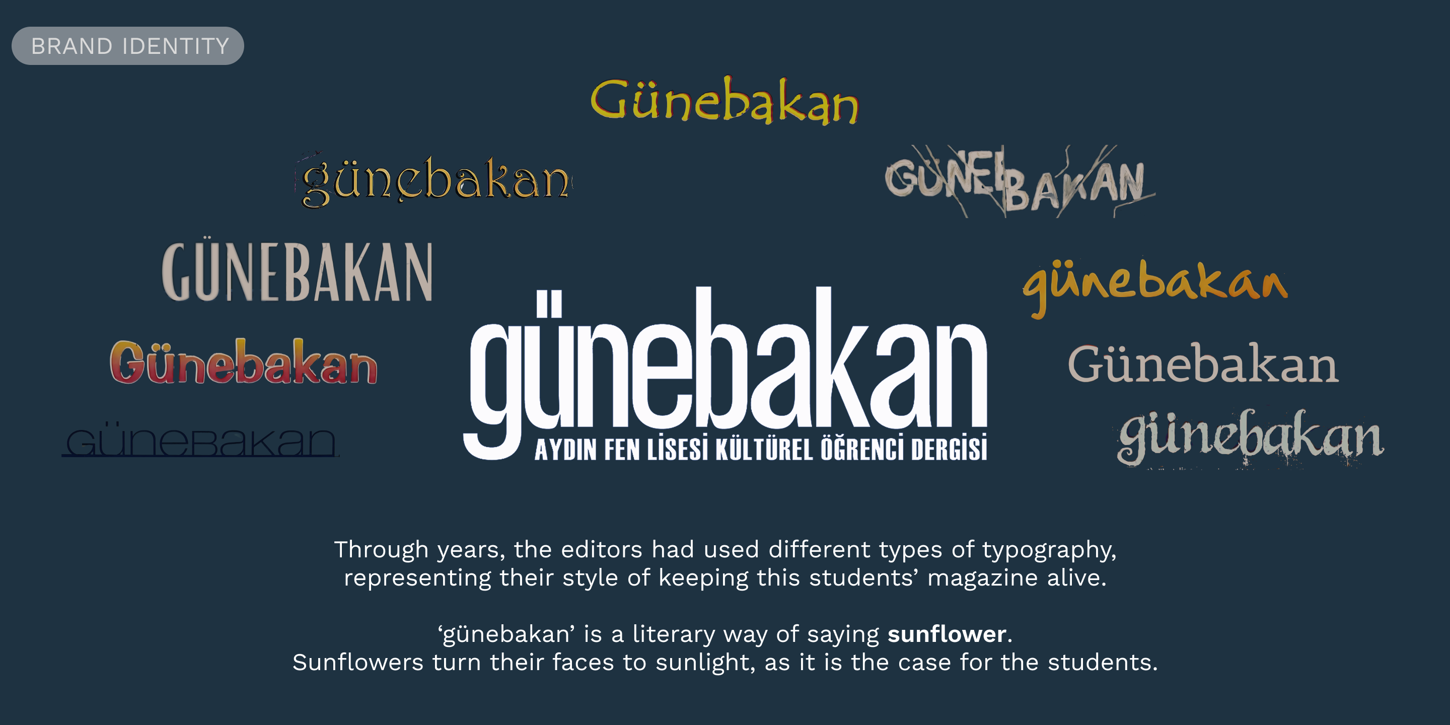 Brand identity